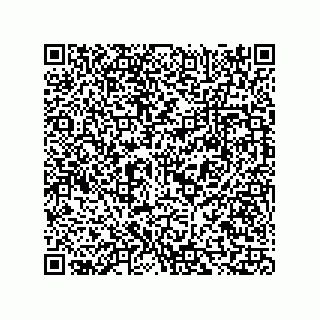 vCard 73815321319