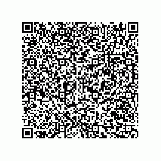vCard 73815321322