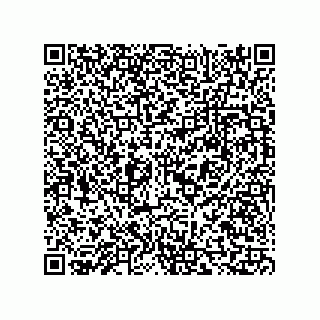 vCard 73815321331