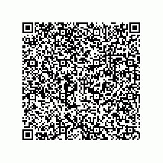 vCard 73815321339