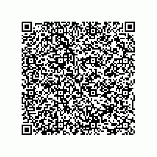 vCard 73815321355