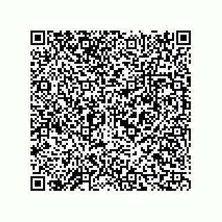 vCard 73815321377