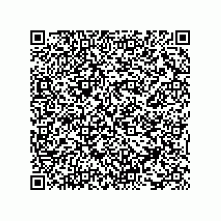vCard 73815321379