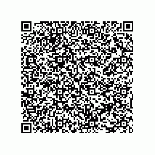 vCard 73815321382