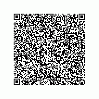 vCard 73815321383