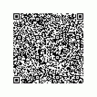vCard 73815321385