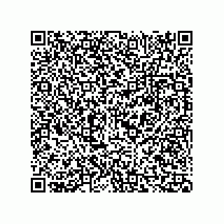 vCard 73815321387