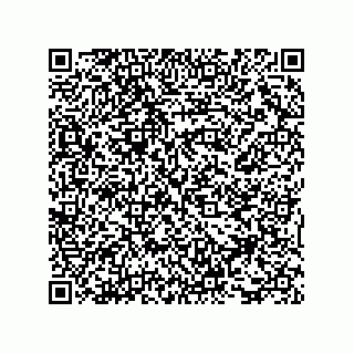 vCard 73815321393