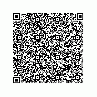 vCard 73815321397