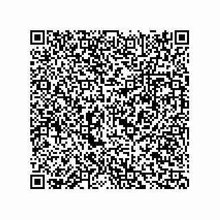 vCard 73815321399