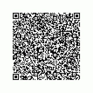 vCard 73815352133