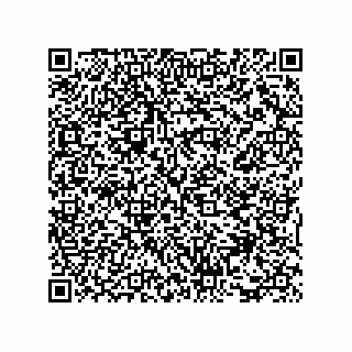 vCard 73815352139