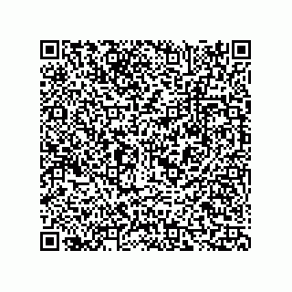 vCard 73815352197