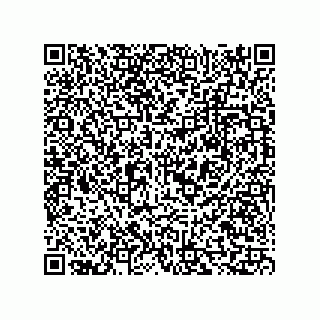 vCard 73815352379