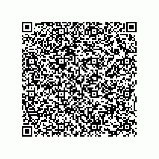 vCard 73815356221