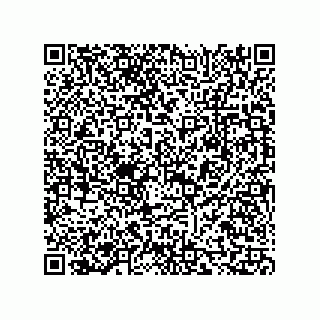 vCard 73815433221