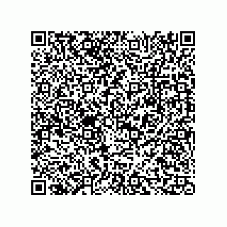 vCard 73815433249