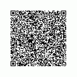vCard 73815433251