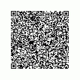 vCard 73815433285