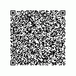 vCard 73815433287