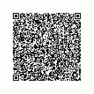 vCard 73815433288