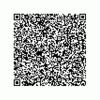 vCard 73815433293