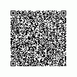 vCard 73815433299