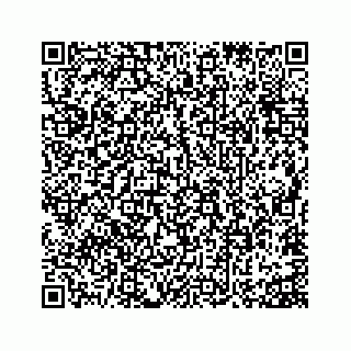 vCard 73815633802