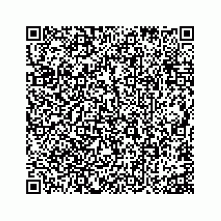 vCard 73815633805