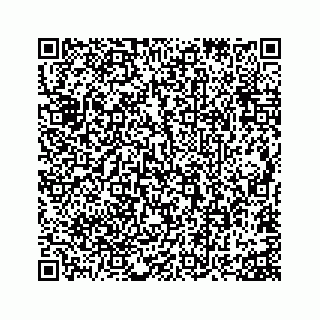 vCard 73815633808
