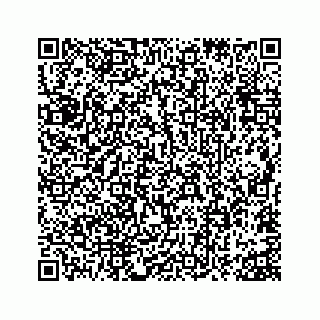 vCard 73815633809