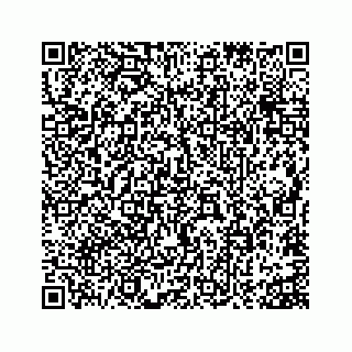 vCard 73815633811