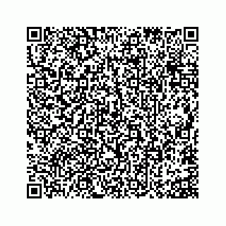 vCard 73815633817
