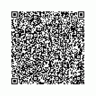 vCard 73815633819