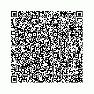 vCard 73815633821
