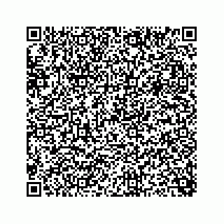 vCard 73815633825