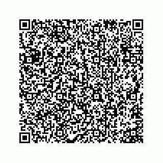 vCard 73815633829