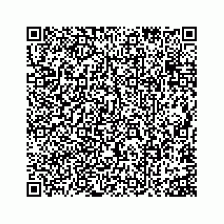 vCard 73815633831