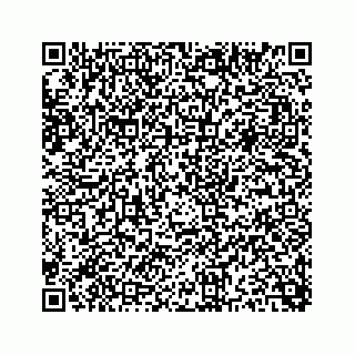 vCard 73815633833