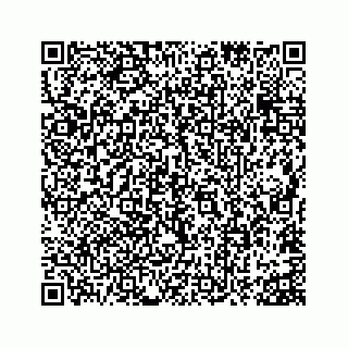 vCard 73815633839