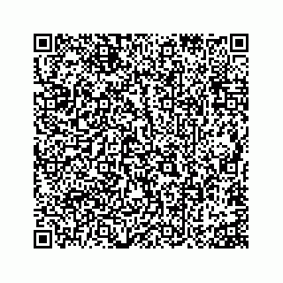 vCard 73815633845