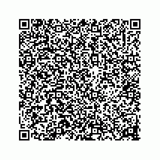 vCard 73815633849