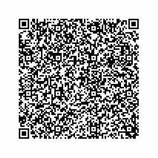 vCard 73815635295