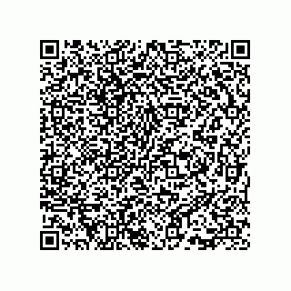 vCard 73815731271