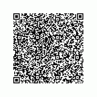 vCard 73815733100