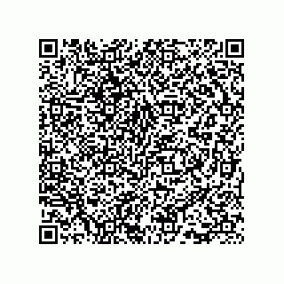 vCard 73815733103