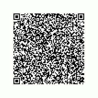 vCard 73815733110