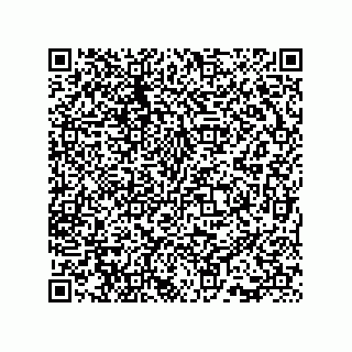 vCard 73815733111