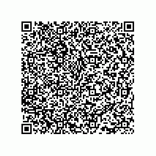 vCard 73815733117
