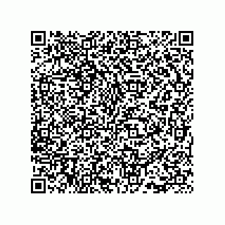 vCard 73815733119